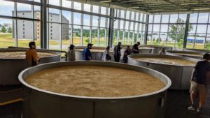 Open fermentation vats at Bardstown Bourbon Company in Kentucky.